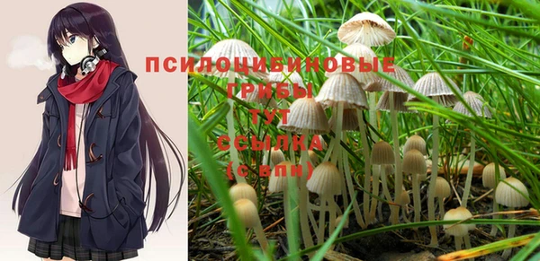 не бодяженный Медвежьегорск