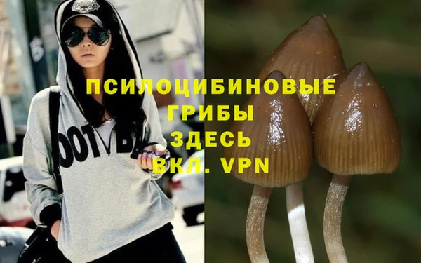 тгк Мегион
